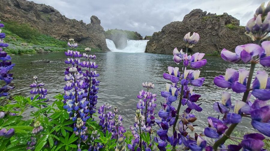 From Reykjavik: Highlands Jeep Tour & Landmannalaugar Hike - Háifoss and the two-waterfall canyon