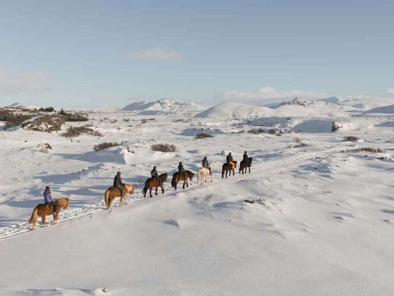 From Reykjavík: Icelandic Horse Riding Tour in Lava Fields - Riding across Iceland’s volcanic ground