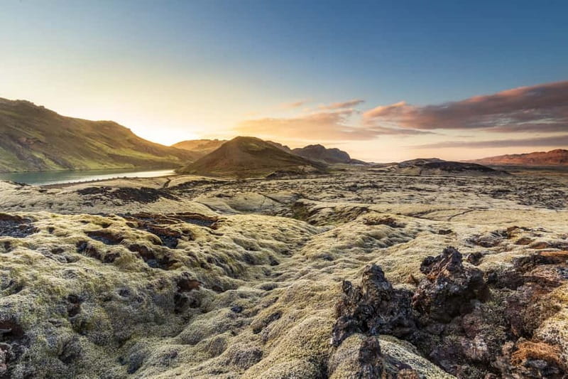 From Reykjavík: Icelandic Horse Riding Tour in Lava Fields - Who will enjoy this ride most