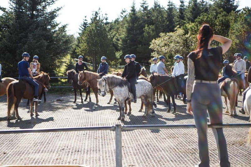From Reykjavík: Icelandic Horse Riding Tour in Lava Fields - Practical tips for a better outing