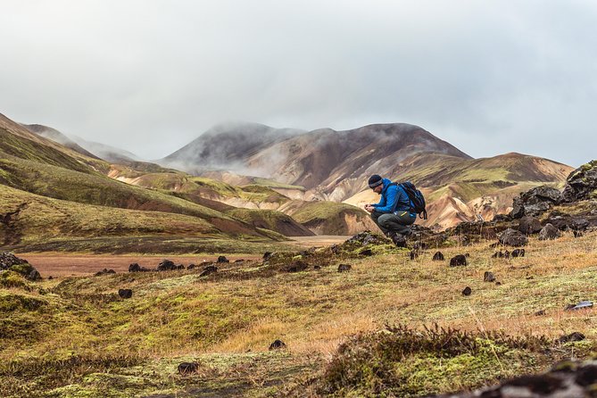 From Reykjavík: Landmannalaugar Hiking Day Tour - Quick reasons to consider this Landmannalaugar tour