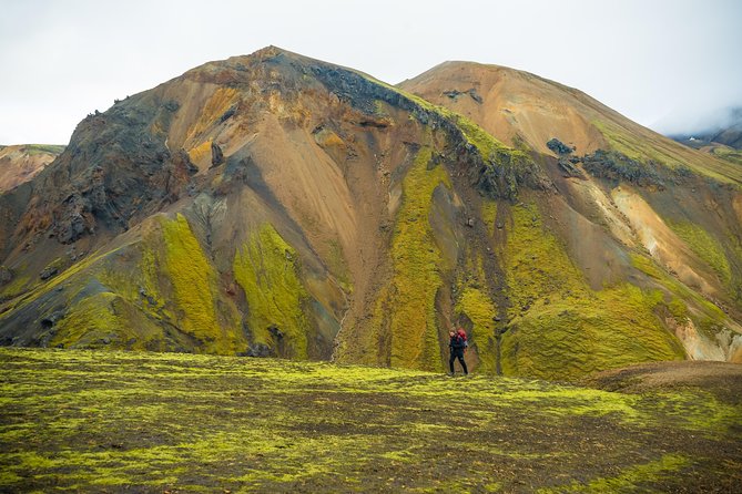 From Reykjavík: Landmannalaugar Hiking Day Tour - Brennisteinsalda and the colorful mountain views