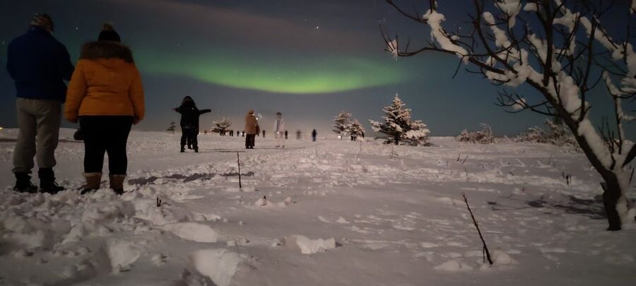 From Reykjavik: Northern Lights Chase with Expert Guide - Key points to know before you book