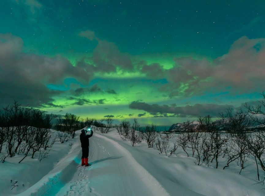 From Reykjavik: Northern Lights Chase with Expert Guide - The free retry policy and its practical value