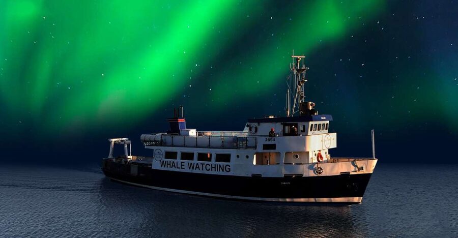 From Reykjavik: Northern Lights Sightseeing Cruise - Leaving Reykjavík’s Old Harbour after dark
