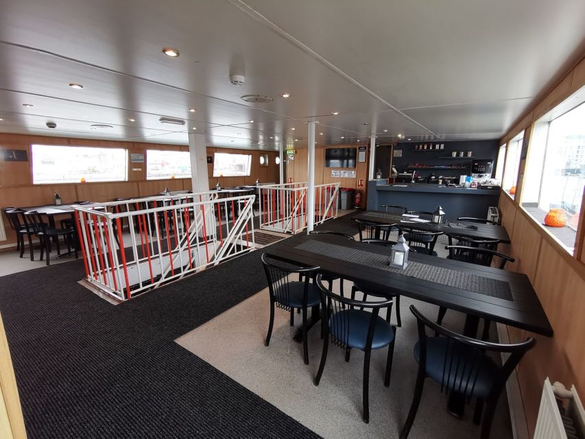 From Reykjavik: Northern Lights Sightseeing Cruise - The two-hour search for a green flash