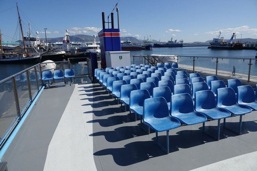 From Reykjavik: Northern Lights Sightseeing Cruise - What the aurora may look like in person