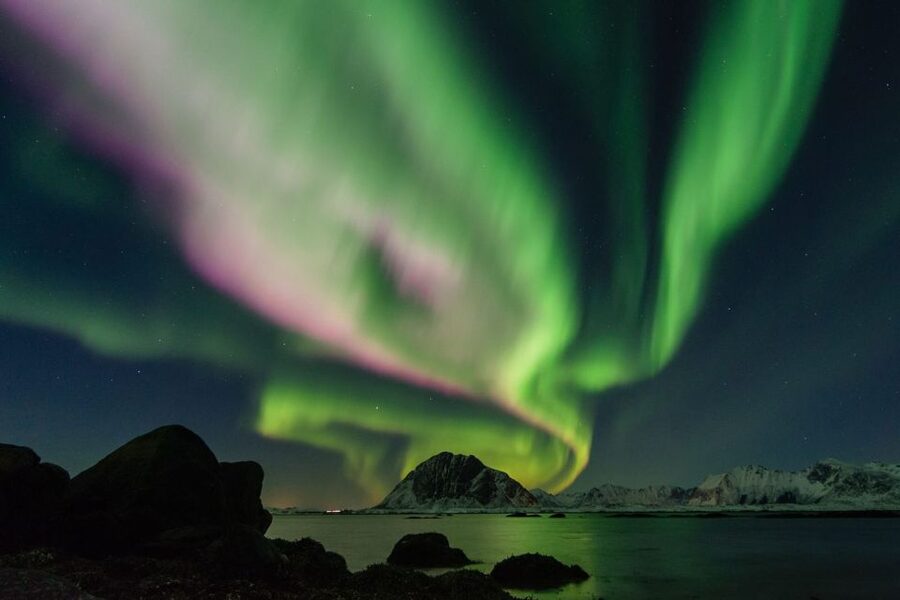 From Reykjavik: Northern Lights Sightseeing Cruise - Timing, check-in, and practical details
