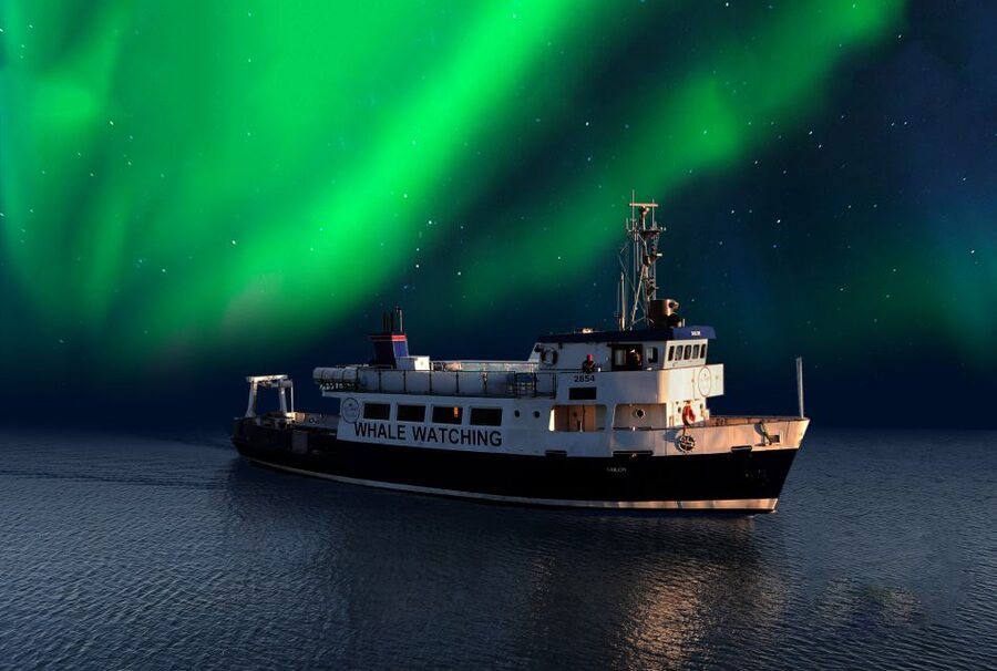 From Reykjavik: Northern Lights Sightseeing Cruise - Finding a comfortable place aboard the Amelia Rose