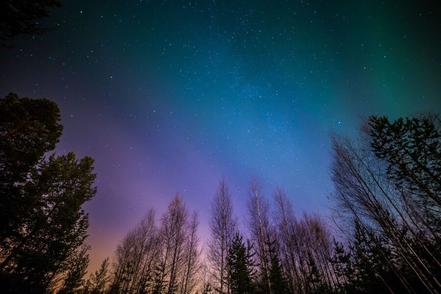 From Reykjavik: Northern Lights Tour - Practical advice for a better night