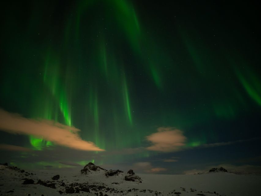 From Reykjavik: Northern Lights Tour with Hot Cocoa & Photos - Cocoa, kleina, and the value of comfort