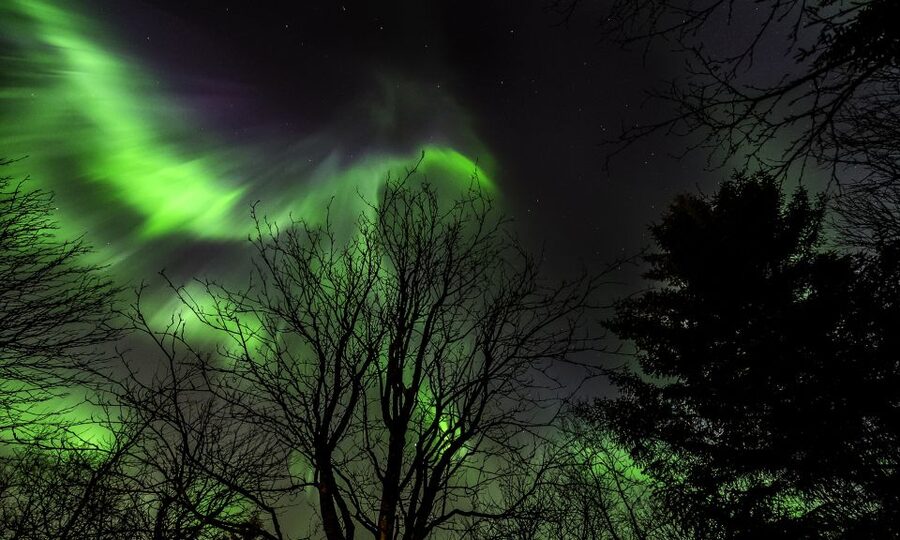 From Reykjavik: Northern Lights Tour with Lifetime Guarantee - The Reykjavik pickup and coach ride