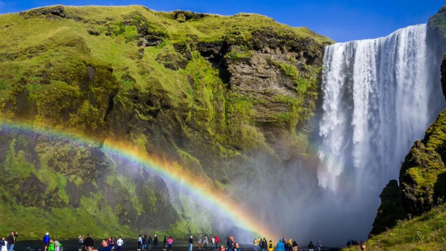 From Reykjavik: Private South Coast Tour in Iceland - The guide can shape the whole day