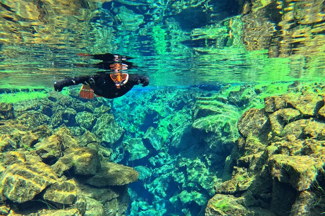 From Reykjavik- Silfra Snorkeling transfer included - The geology between North America and Eurasia