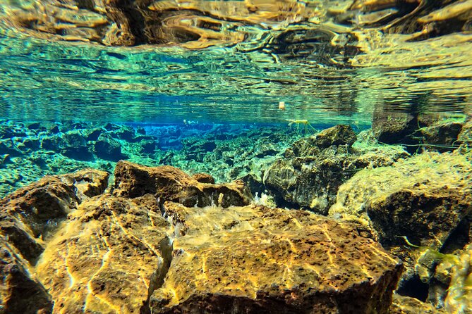 From Reykjavik- Silfra Snorkeling transfer included - GoPro photos that preserve the experience