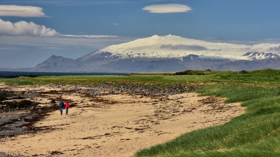From Reykjavik: Snaefellsnes National Park - Small Group - Ytri Tunga, pale sand, and possible seals