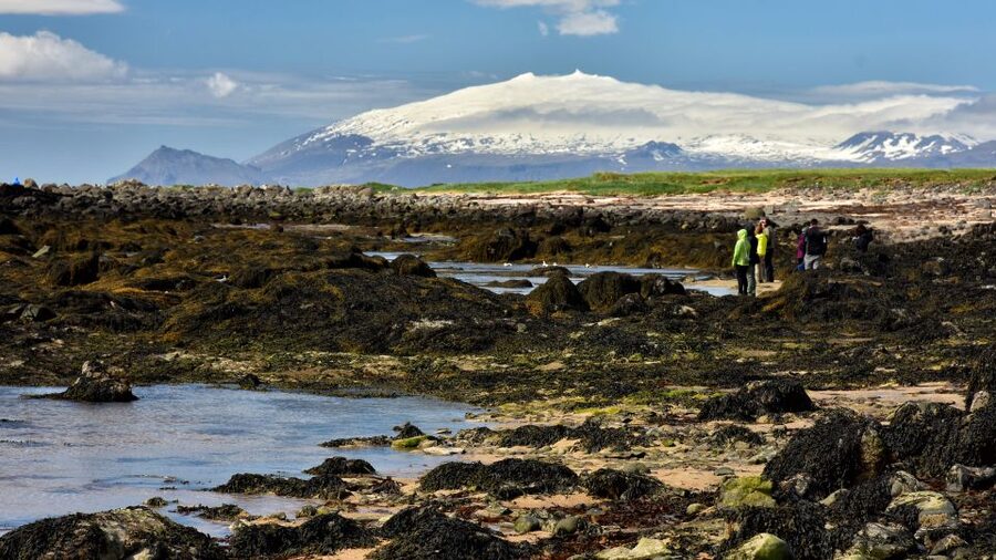 From Reykjavik: Snaefellsnes National Park - Small Group - Djúpalónssandur and the harsher side of the coast