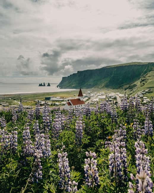 From Reykjavík: South Coast Highlights Day Tour - Key points to know before booking