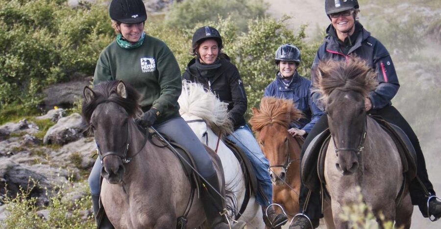 From Reykjavík: Viking Horseback Tour in Hafnarfjörður - Meeting the Icelandic horse at Íshestar