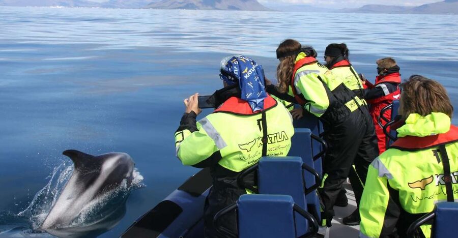 From Reykjavik: Whale Watching Tour by Speedboat - A small boat with a very different feel