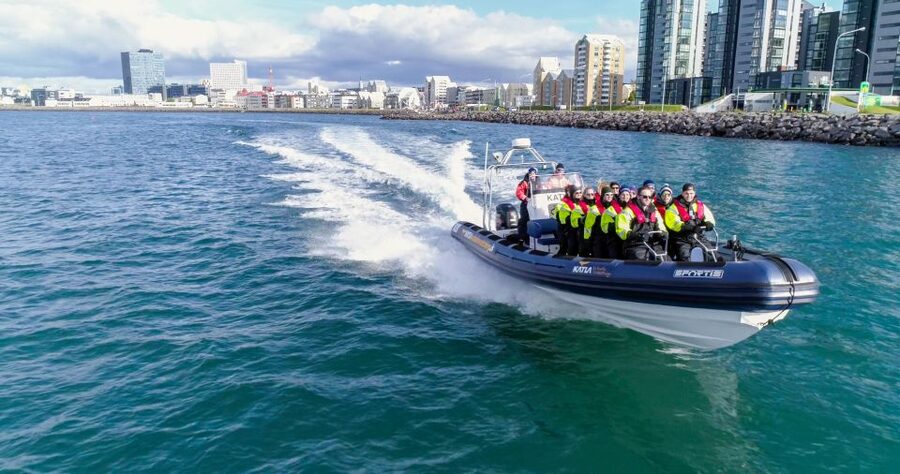 From Reykjavik: Whale Watching Tour by Speedboat - Searching for whales in Faxaflói