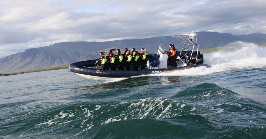 From Reykjavik: Whale Watching Tour by Speedboat - What the ride feels like in real conditions