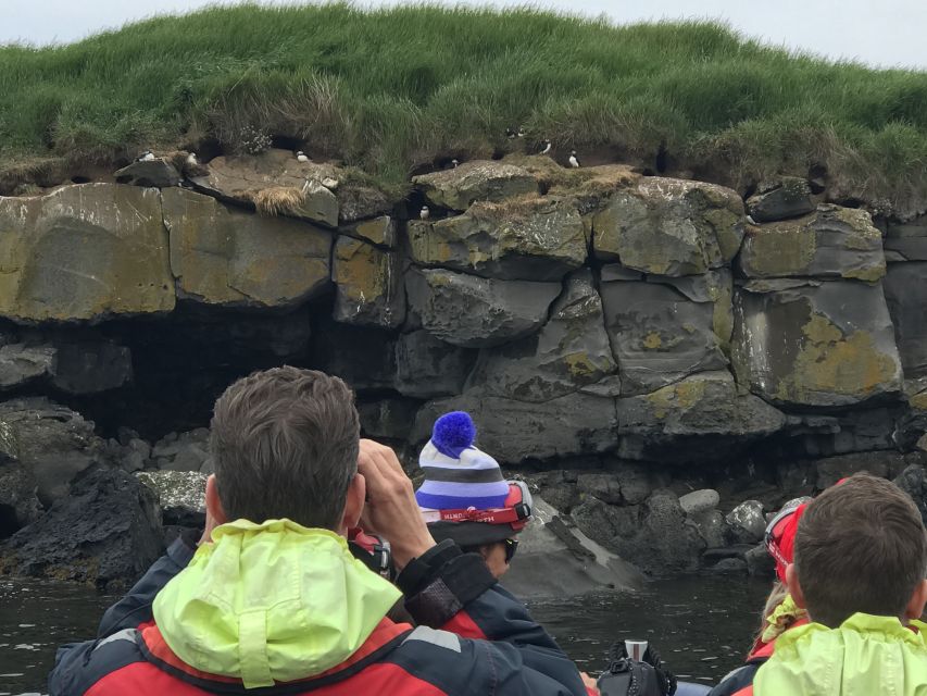 From Reykjavik: Whale Watching Tour by Speedboat - Is $192 a fair price?