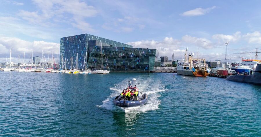 From Reykjavik: Whale Watching Tour by Speedboat - Planning the day wisely