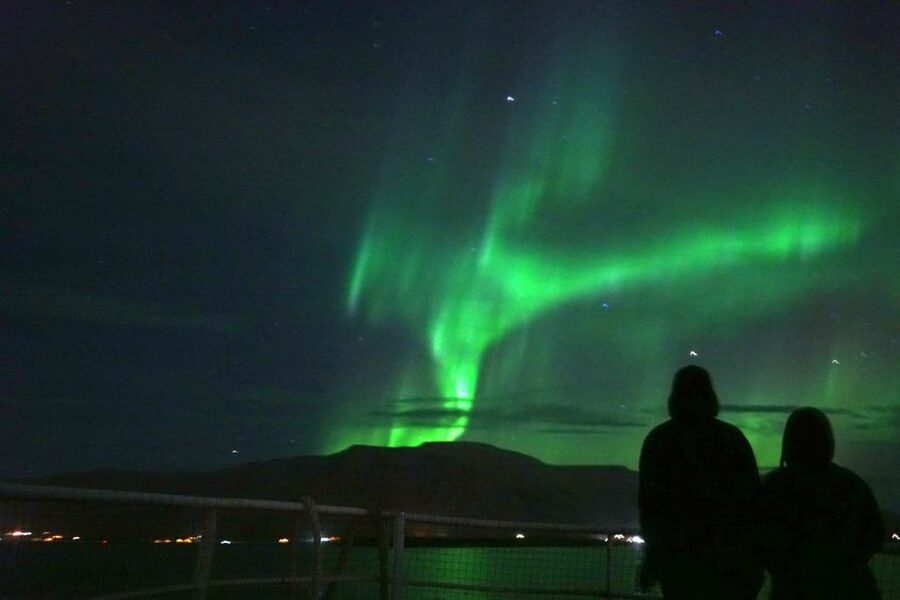 From Reykjavik: Whales and Northern Lights Boat Tour - Who should book this combined boat tour?