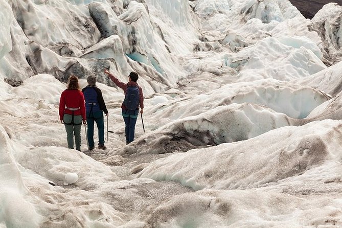 Glacier Hike from Skaftafell - Extra Small Group - Who should book this experience?