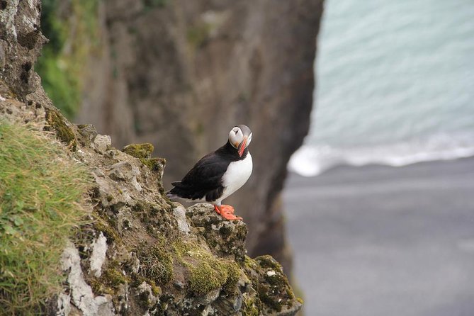 Glacier Lagoon, Diamond Beach, Black Sand Beaches and Waterfalls - A long day in a Mercedes van