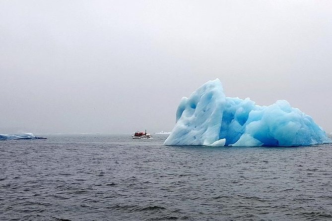 Glacier Lagoon & South Coast. Private Day Tour - Jokulsarlon rewards patient watching