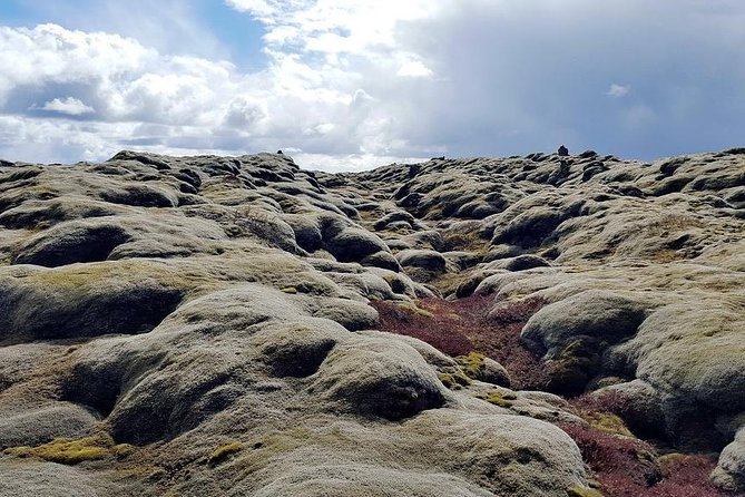 Glacier Lagoon & South Coast. Private Day Tour - Diamond Beach turns ice into sculpture