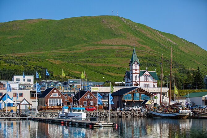 Goðafoss and Húsavík with a stop at the Geosea Baths - A guide-led ride with room for questions