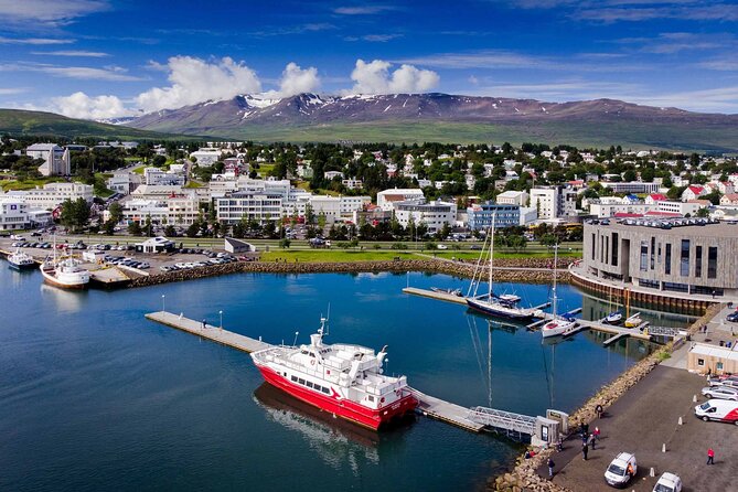 Goðafoss Waterfall & Forest Lagoon from Akureyri Port - Why this Akureyri outing works so well