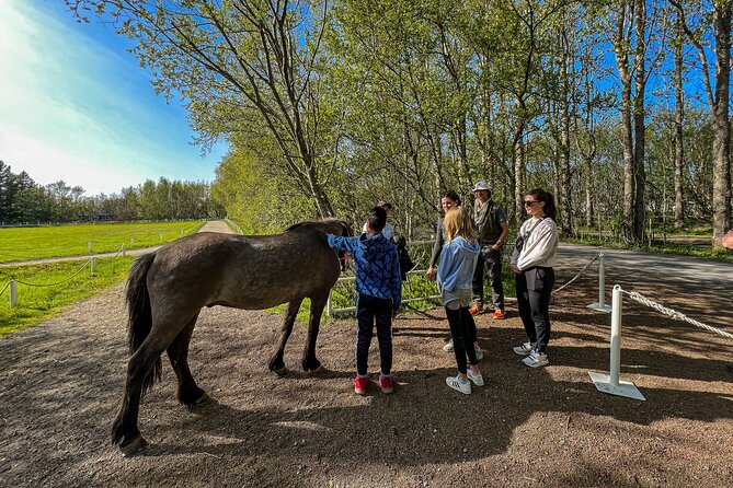 Golden Circle and Lunch at Fridheimar Tomato Farm - with photos - Fridheimar Tomato Farm Turns Lunch Into a Main Event