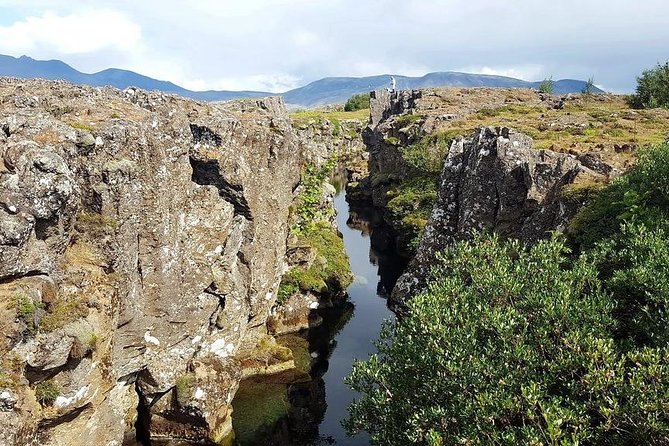 Golden Circle Express. Private Tour from Reykjavik - Families, timing, and practical comfort