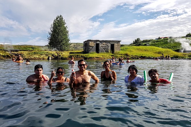 Golden Circle Private Day Tour - up to 9 passengers - Timing, pickup, and family comfort