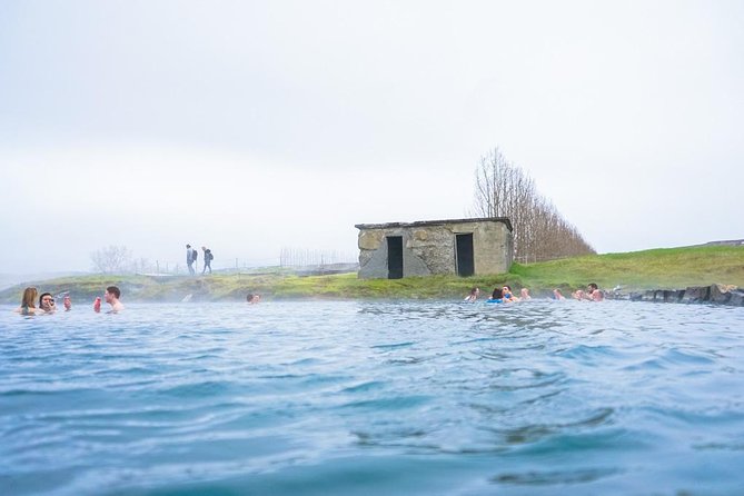 Golden Circle & Secret Lagoon Small-Group Day Tour from Reykjavik - What the minibus and group size feel like