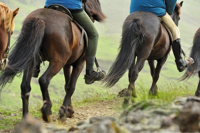 Golden Circle & Viking Horse Experience - Þingvellir, where Iceland’s story meets its geology
