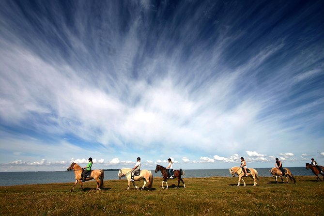 Golden Circle & Viking Horse Experience - Geysir, where the ground puts on a show