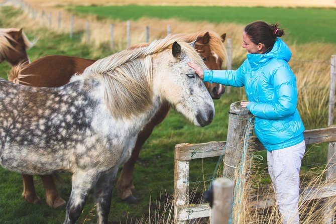 Golden Circle & Viking Horse Experience - Group size, comfort, and the long day question