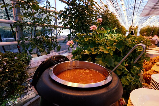 Golden Circle with Tomato Farm Lunch & Secret Lagoon Bathing - What to pack and how to pace the day