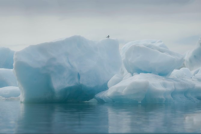 Guided Glacier Lagoon and Diamond Beach Day Trip from Reykjavik - Coach comfort, group size, and timing