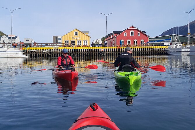 Guided kayak tour in Siglufjörður / Siglufjordur. - Key points at a glance