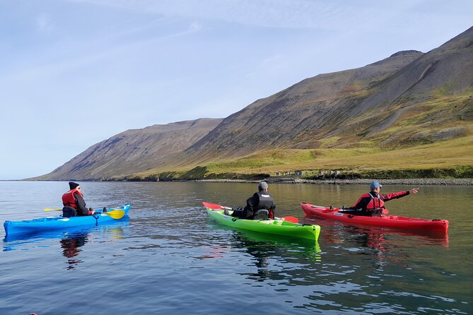 Guided kayak tour in Siglufjörður / Siglufjordur. - What the guide adds to the scenery