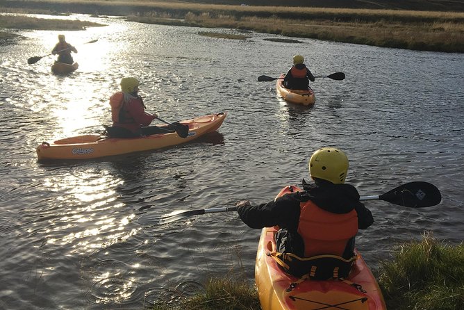 Guided Sit on Top Kayak Tour near Akureyri - Horses, open views, and the chance to spot local life