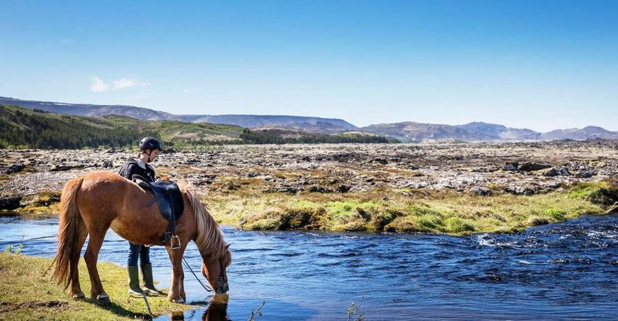 Hafnarfjörður: Horseback Riding Tour in Reykjavik Area - Meeting the Icelandic Horse at Íshestar
