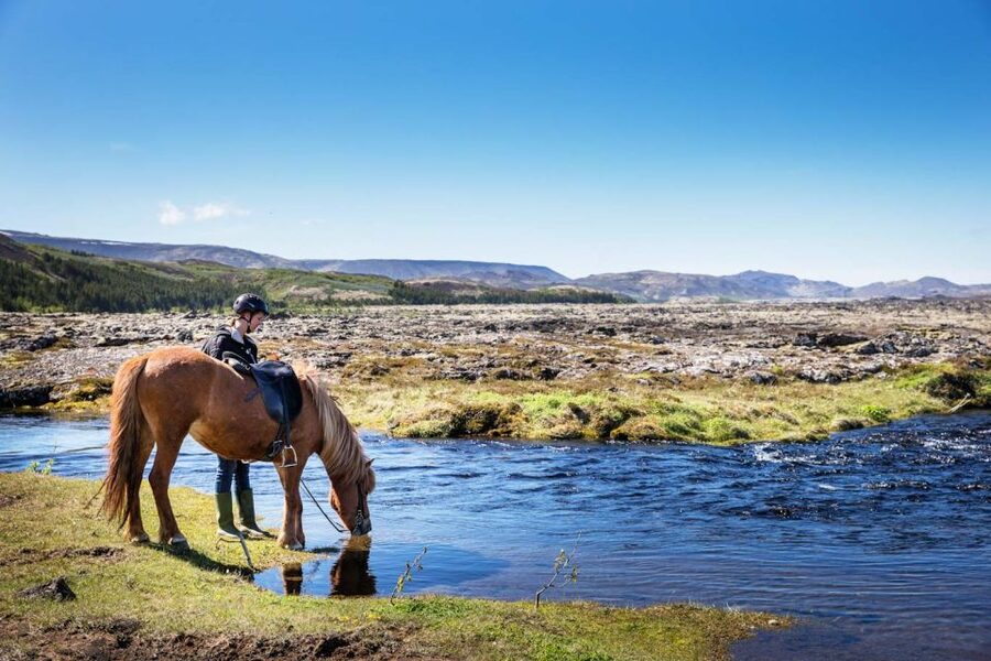 Hafnarfjörður: Horseback Riding Tour in Reykjavik Area - Why the Small Group Makes a Difference