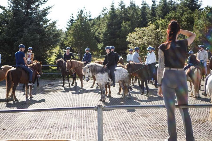 Hafnarfjörður: Horseback Riding Tour in Reykjavik Area - Meeting the Horses After the Ride